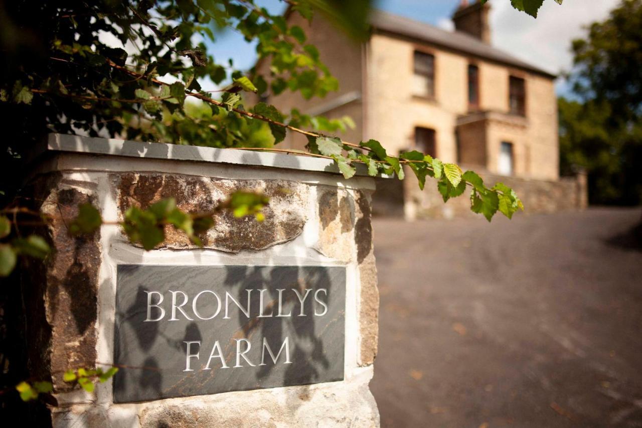 Bronllys Farm Coastal Self-Catering Apartment Ланели Екстериор снимка
