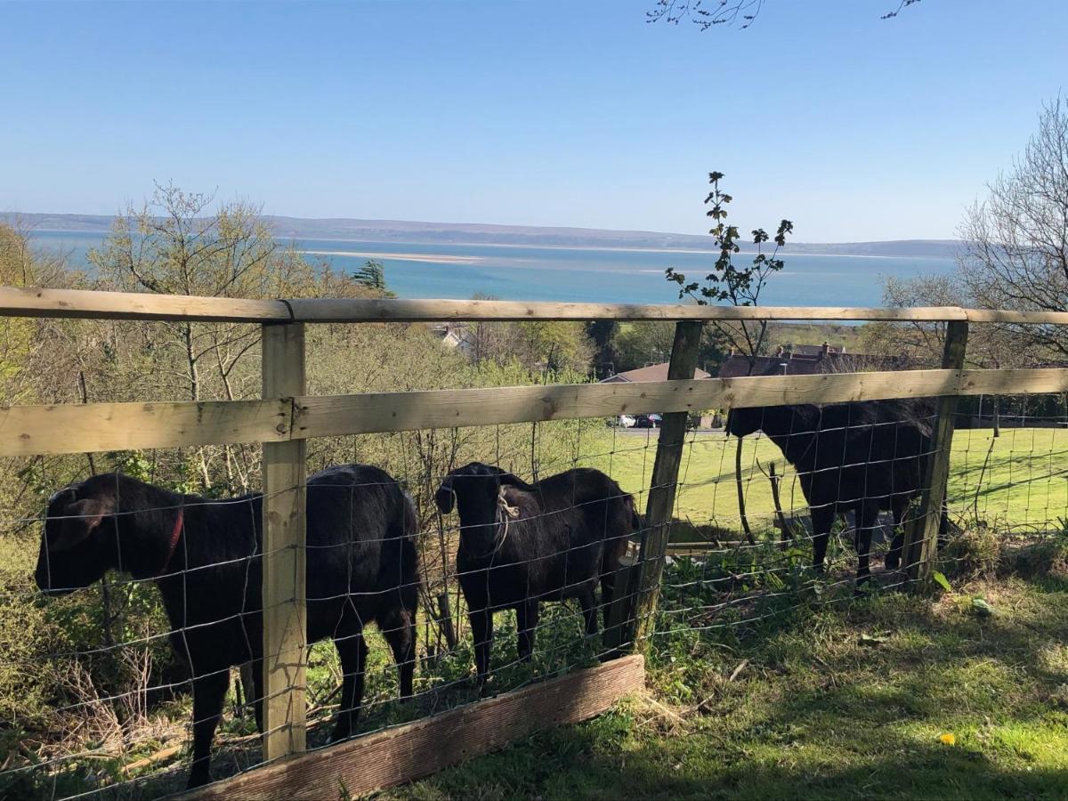 Bronllys Farm Coastal Self-Catering Apartment Ланели Екстериор снимка